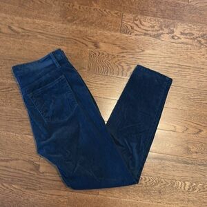 Blue Loft velour skinny pants. Once worn once so excellent condition. 27 petite